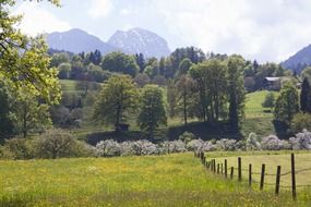 Pasture fence along the beautiful and colorful fields in Wendelstein, Germany