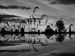 landscape plants Clouds water Reflection