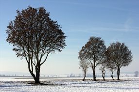 winter nature in bavaria