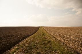 plowed and harvested fields side by side