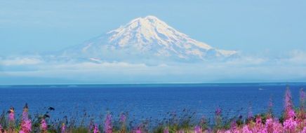 Cook Bay near the mountain