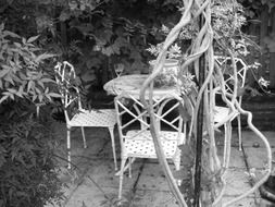 garden table chairs gardening black and white photo