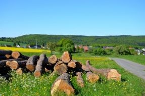 Beautiful and colorful landscape with the village among the plants