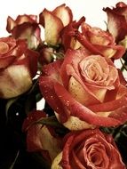 Beautiful bouquet of the red roses