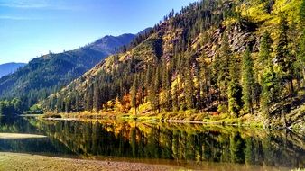 Water in Washington State on a sunny day