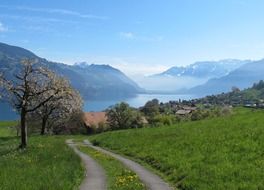 village lake spring view