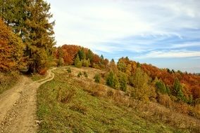 landscape of autumn colored forest on a hill in Poland