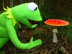 photo of green kermit frog and toxic fly agaric mushroom