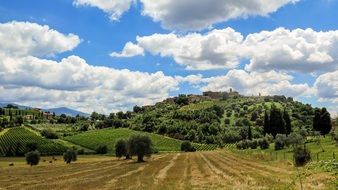 panorama of the countryside in tuscany