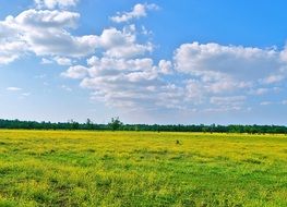 white clouds in the sky over a field with green grass