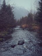 Mountain river in autumn