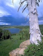 panoramic view of nature before the storm