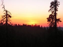 pink-yellow sunset over the forest in California