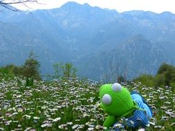 soft toy on a flower meadow in the mountains