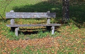 old wooden bench in autumn park