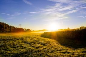 bright sun on a summer field