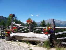 Alpine In South Tyrol