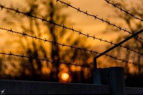 spring evening sunset through barbed wire