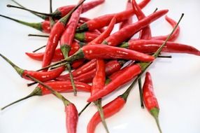 A lot of pods of red pepper on a white