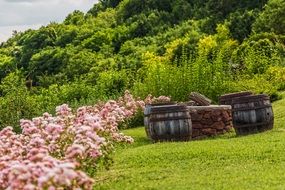 well and barrels green garden pink flowers view