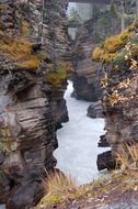 panorama of the stream in the gorge