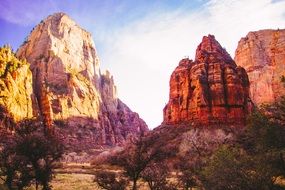 trees and rocks in the canyon