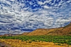 dizzy arizona landscape