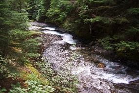 Canyon in Canada