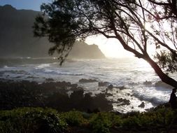 beautiful coast at sunset, spain, canary islands, tenerife