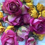 bouquet with pink and yellow roses