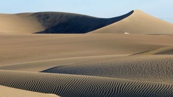 delightful sand dune