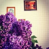 bouquet of purple lilacs in the room