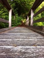 wooden path to forest