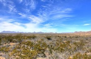 view of desert in Big Bend National Park, Texas