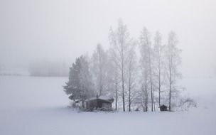 house in snowy field, Finland