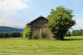 wooden barn among beautiful nature on a sunny day