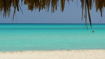 Landscape of beach in cuba