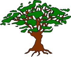 Drawing of a tree with roots and green graphic clouds