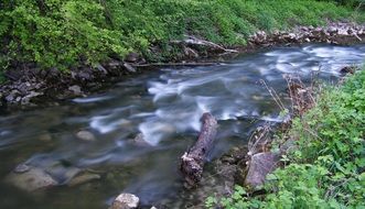 wild water stream
