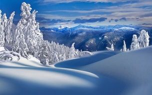 winter landscape of white trees and snowy hills