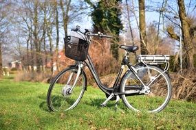 bicycle in green grass