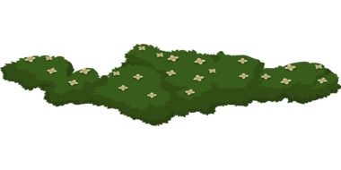 graphic drawing of a flowering greenery