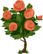 Drawing of tree with big pink rose flowers