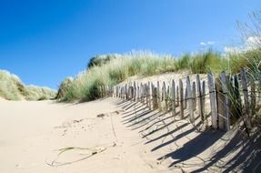 beach old fence