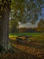 wooden table and benches in autumn park