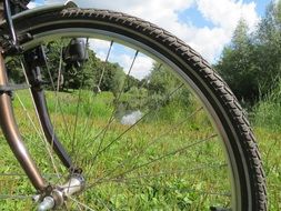 green meadow through the wheel of a bicycle