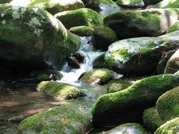 cascading water with tranquil moss rocks
