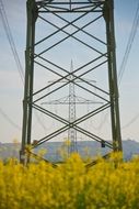 strommast energy electricity yellow flowers front view