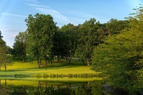 beautiful summer green park in sunny weather