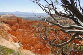 bryce canyon landscape